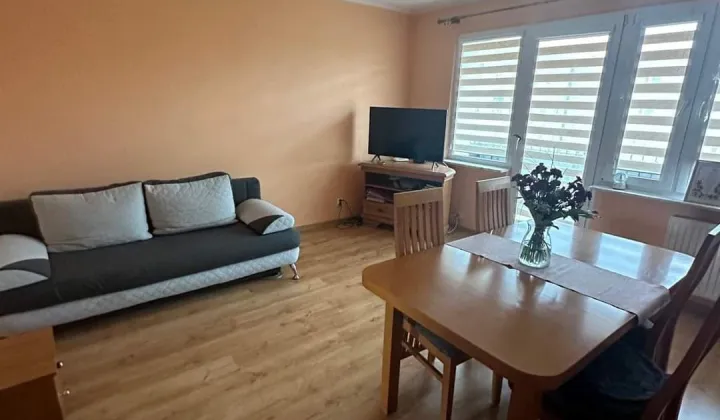 Mieszkanie 1-pokojowe Łódź Olechów, ul. Piasta Kołodzieja