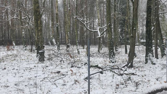 Działka budowlana Zofiówka, ul. Cienista. Zdjęcie 1