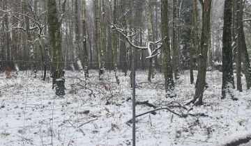 Działka budowlana Zofiówka, ul. Cienista