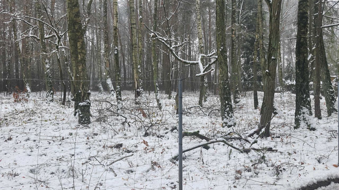 Działka budowlana Zofiówka, ul. Cienista