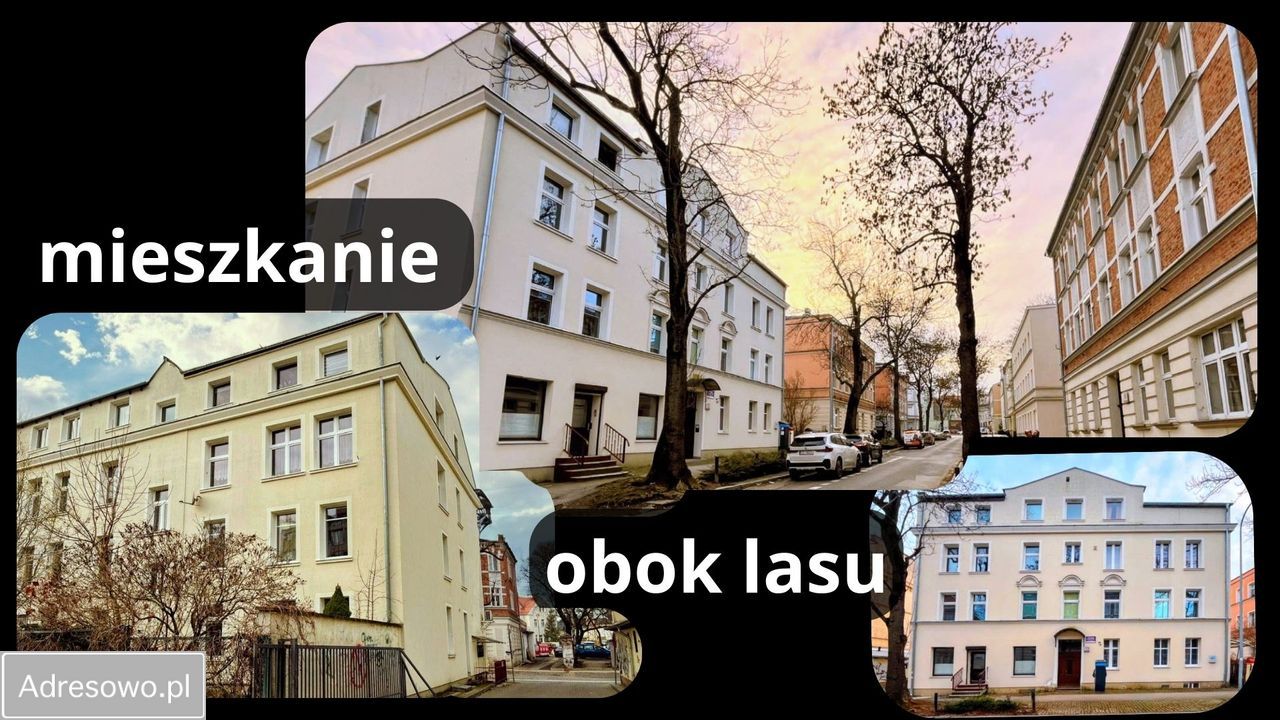 Mieszkanie 3-pokojowe Gdańsk Wrzeszcz. Zdjęcie 8