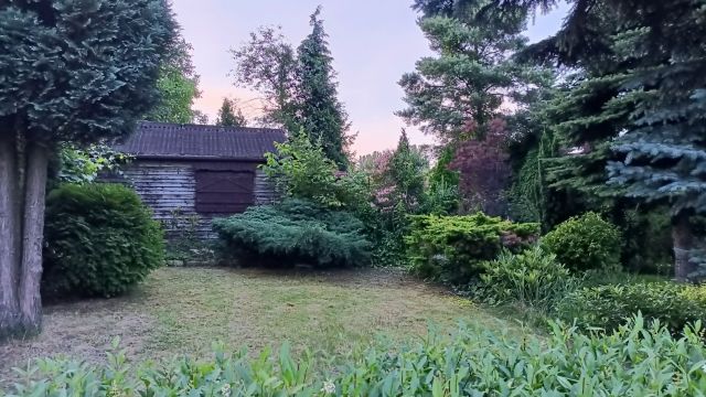 Działka rod Sosnowiec, ul. Ostrogórska. Zdjęcie 1