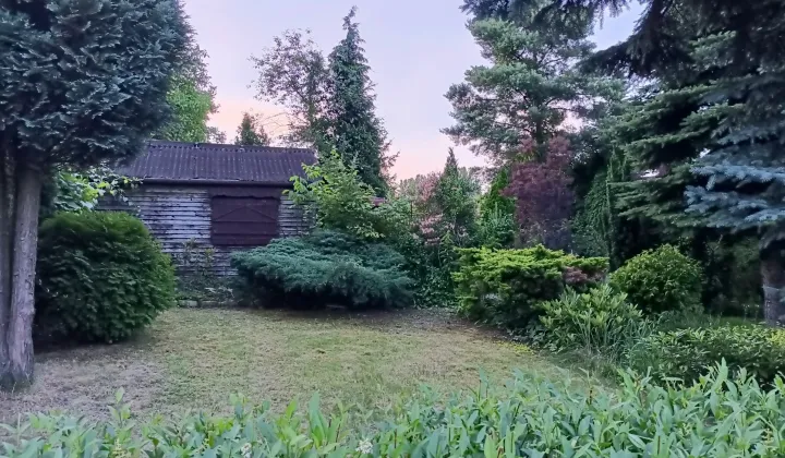 Działka rod Sosnowiec, ul. Ostrogórska