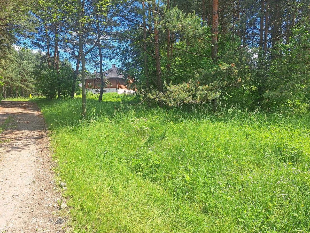 Działka budowlana Płoki. Zdjęcie 1