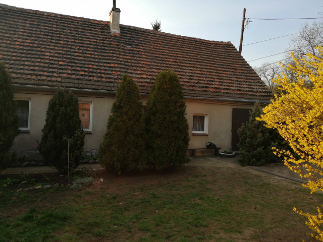 gospodarstwo, 3 pokoje Bieżyce. Zdjęcie 1