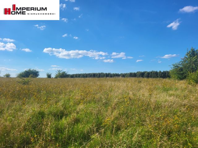 Działka budowlana Łebcz, ul. Pogodna. Zdjęcie 3