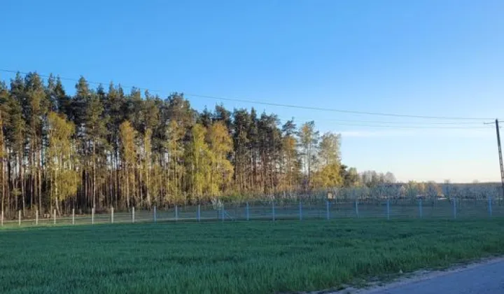 Działka rolna Wólka-Przekory