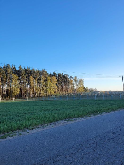 Działka rolna Wólka-Przekory. Zdjęcie 1