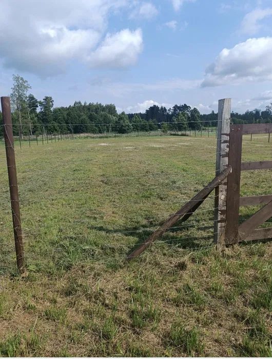 Działka rekreacyjna Gawliki Małe. Zdjęcie 3