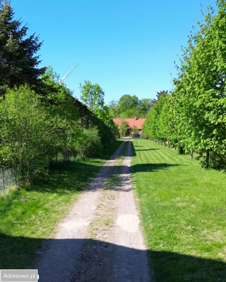dom wolnostojący, 5 pokoi Mierzyn. Zdjęcie 20