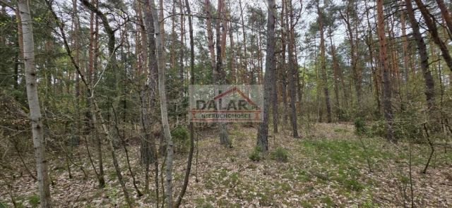 Działka budowlana Linin. Zdjęcie 7