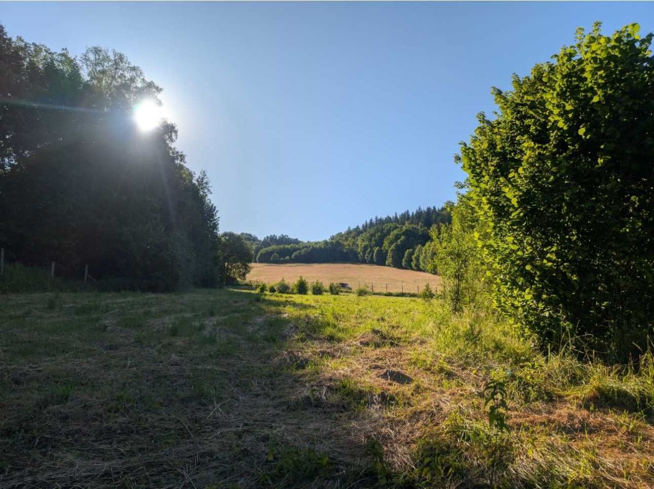 Działka budowlana Strachocin. Zdjęcie 6