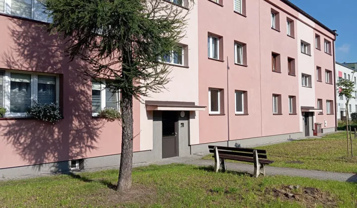 Mieszkanie 2-pokojowe Sosnowiec Bór, ul. Biała Przemsza