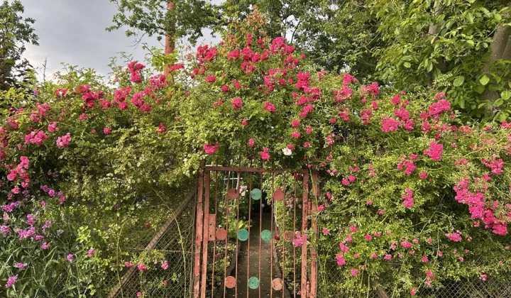 Działka rod Szczytno