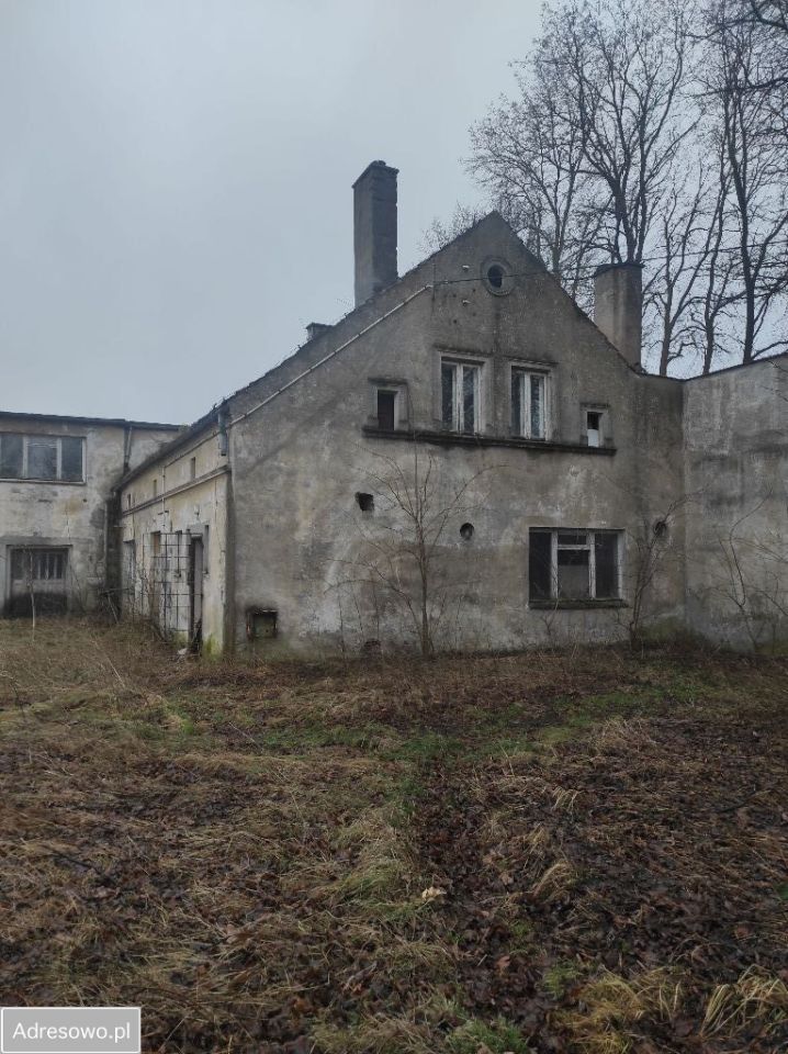 Lokal Dargoszewo. Zdjęcie 3