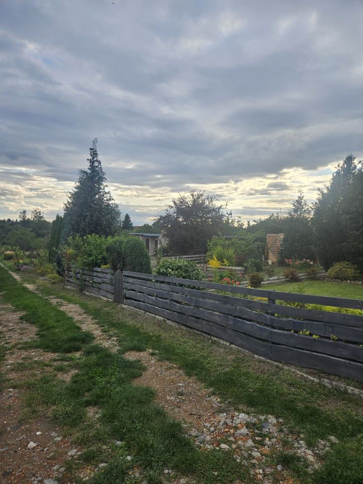 Działka rod Międzychód. Zdjęcie 8