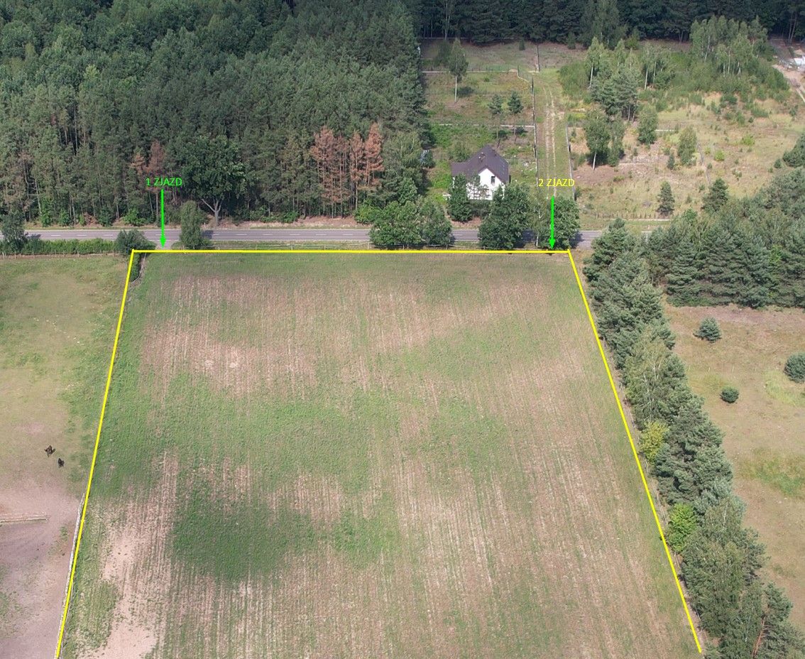Działka budowlana Zalesie Borowe. Zdjęcie 6