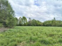 Działka rolno-budowlana Studzieniec. Zdjęcie 2