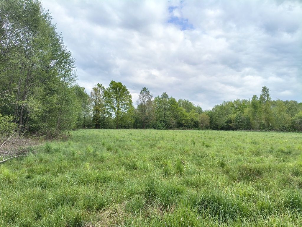 Działka rolno-budowlana Studzieniec. Zdjęcie 3
