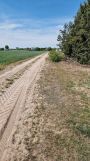 Działka budowlana Karszew. Zdjęcie 2