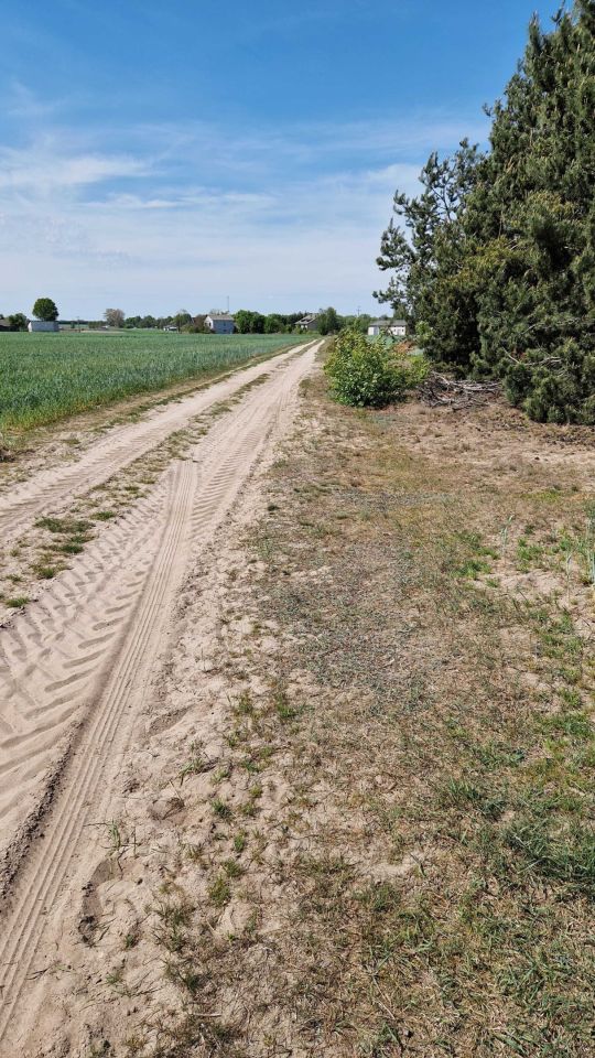 Działka budowlana Karszew. Zdjęcie 3