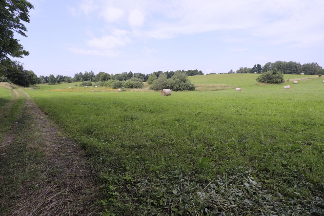 siedlisko, 5 pokoi Zełwągi Nowiny, Zełwągi. Zdjęcie 14