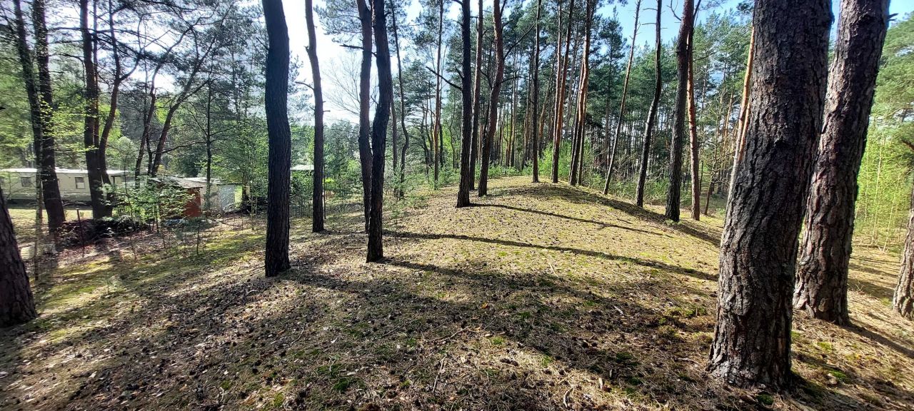 Działka budowlana Kamionna. Zdjęcie 1