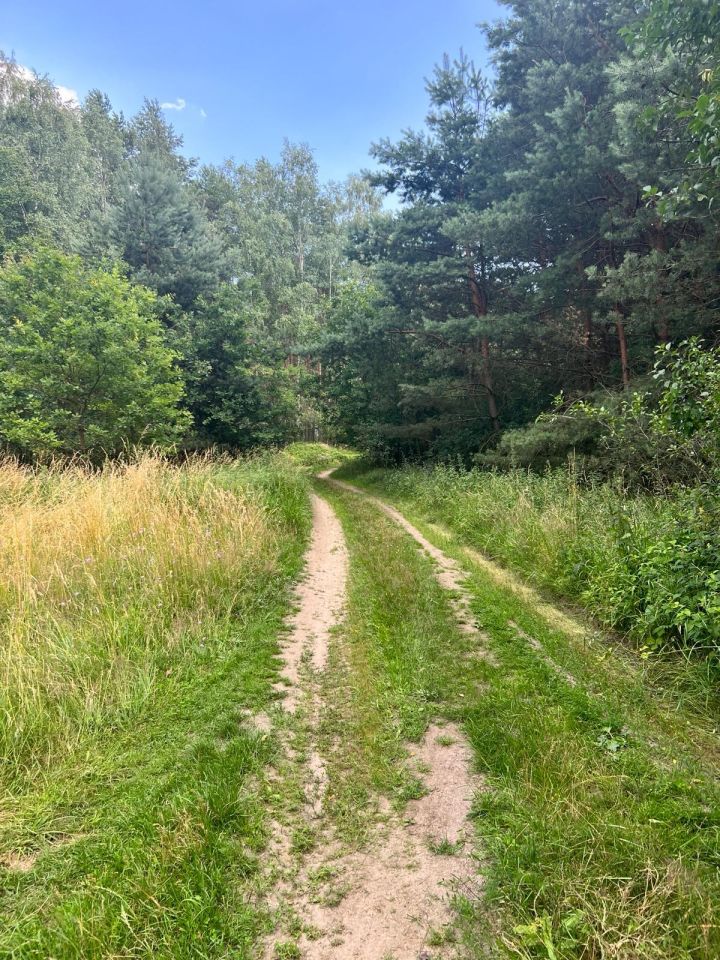 Działka rolna Trzebule. Zdjęcie 6