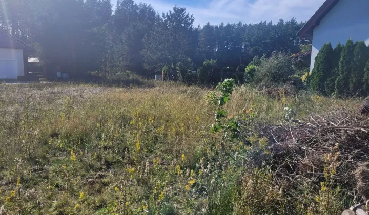 Działka budowlana Bojano, ul. Milenium