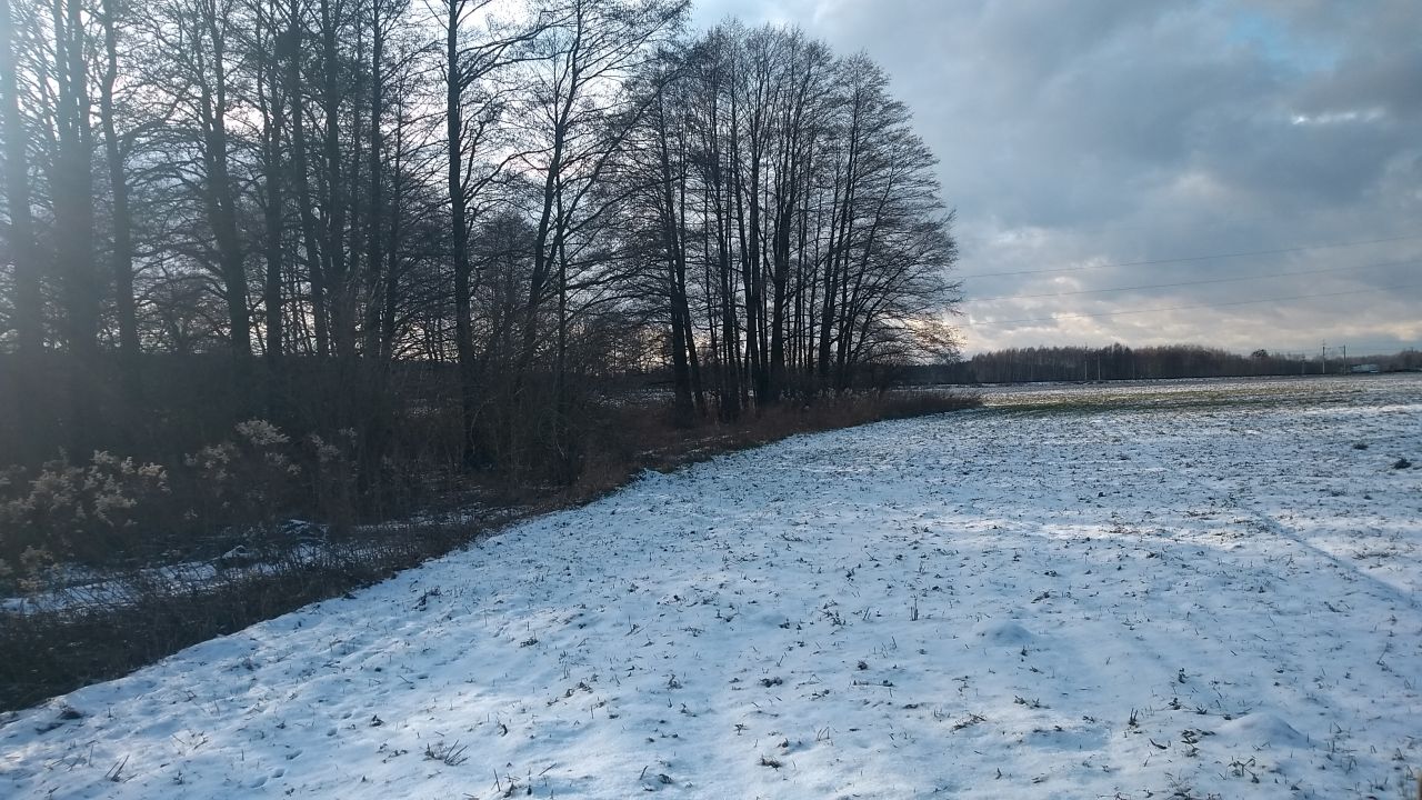 Działka rolna Tarnowiec, dzialka 232. Zdjęcie 6