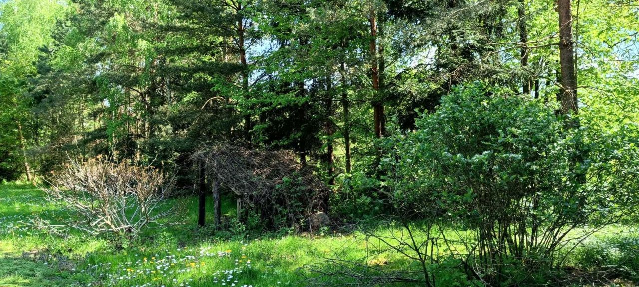 Działka siedliskowa Krzywowierzba. Zdjęcie 3