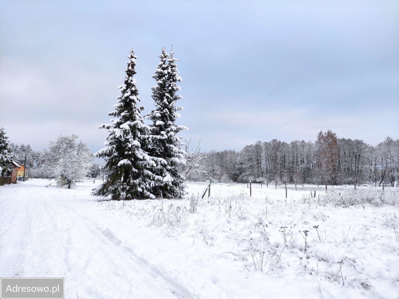 Działka rolno-budowlana Wiewiórowo. Zdjęcie 20