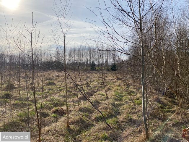 Działka Sylwerynów. Zdjęcie 1