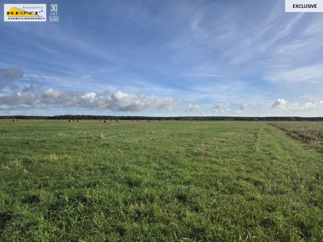 Działka rolna Dobra, ul. Dereszowa. Zdjęcie 2