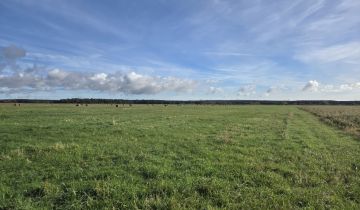 Działka rolna Dobra, ul. Dereszowa