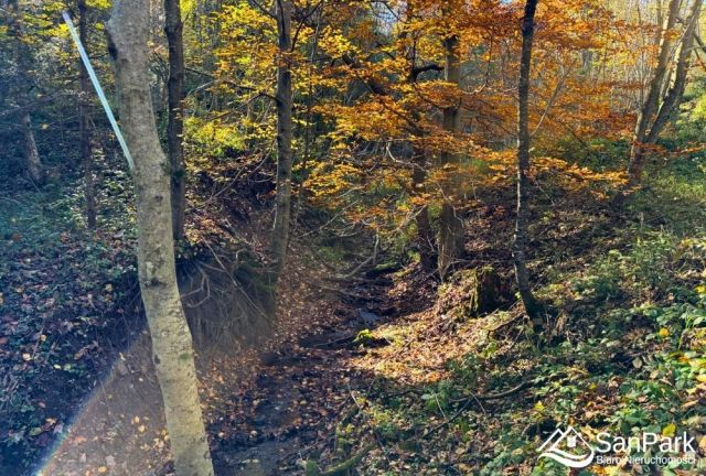 Działka rolna Krzywe. Zdjęcie 9