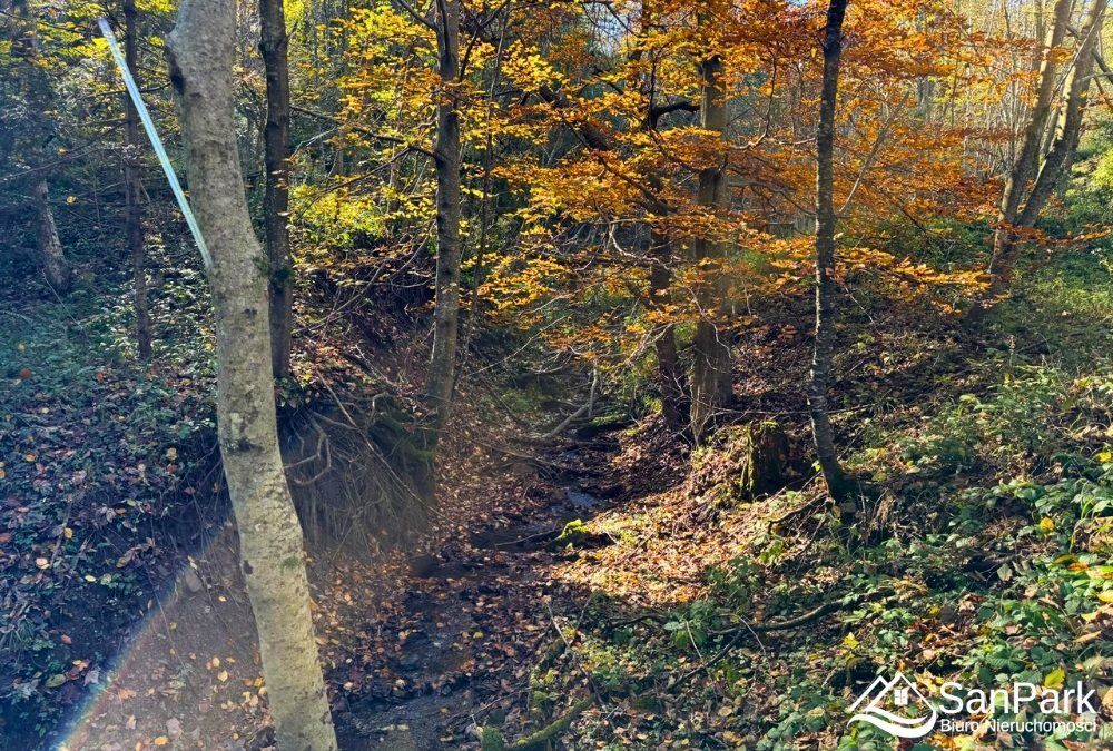 Działka rolna Krzywe. Zdjęcie 9