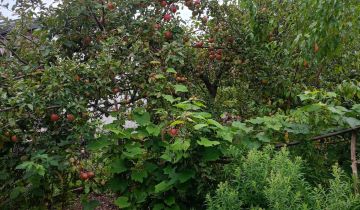 Działka rod Wrocław Krzyki