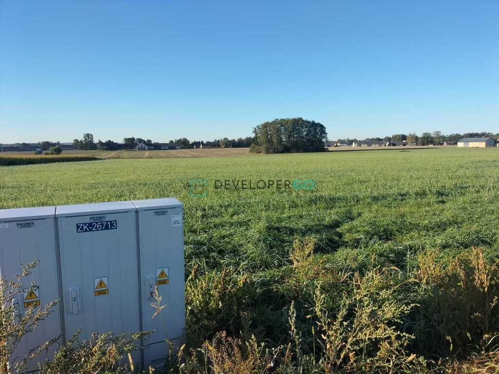 Działka budowlana Kurowo-Kolonia. Zdjęcie 2