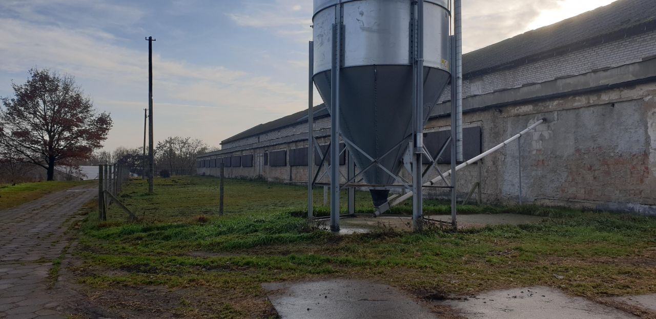 Hala/magazyn Witnica, ul. Chojeńska. Zdjęcie 16