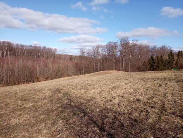 Działka budowlana Łapino Kartuskie, ul. Rdestowa. Zdjęcie 1