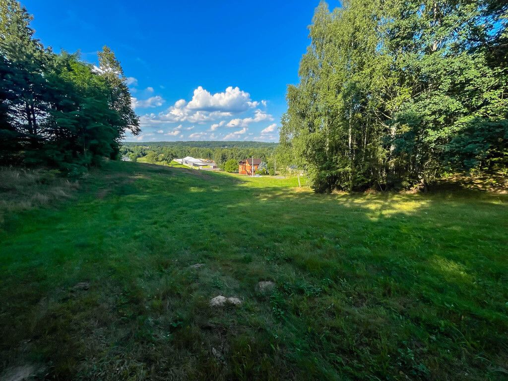 Działka budowlana Kuczów. Zdjęcie 5