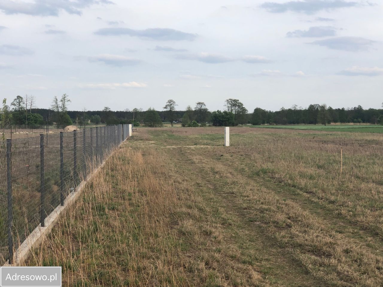 Działka budowlana Czarnowo. Zdjęcie 9