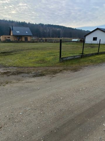 Działka rolna Ludzisławice. Zdjęcie 1