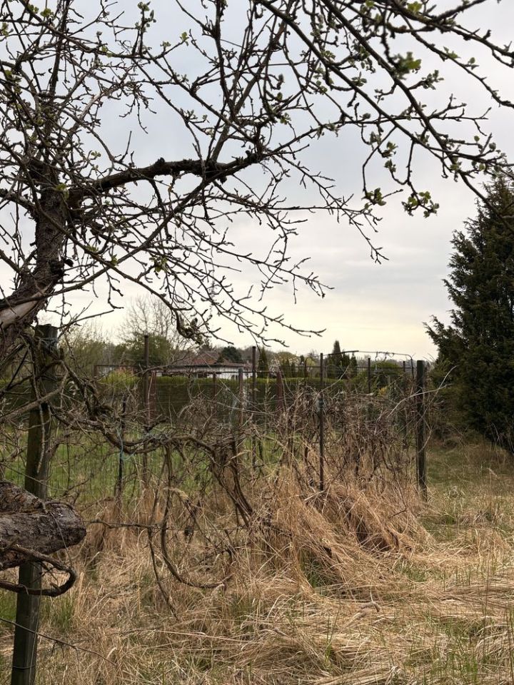 Działka rod Brzeg Dolny. Zdjęcie 5