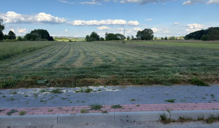 Działka rolno-budowlana Lasochów