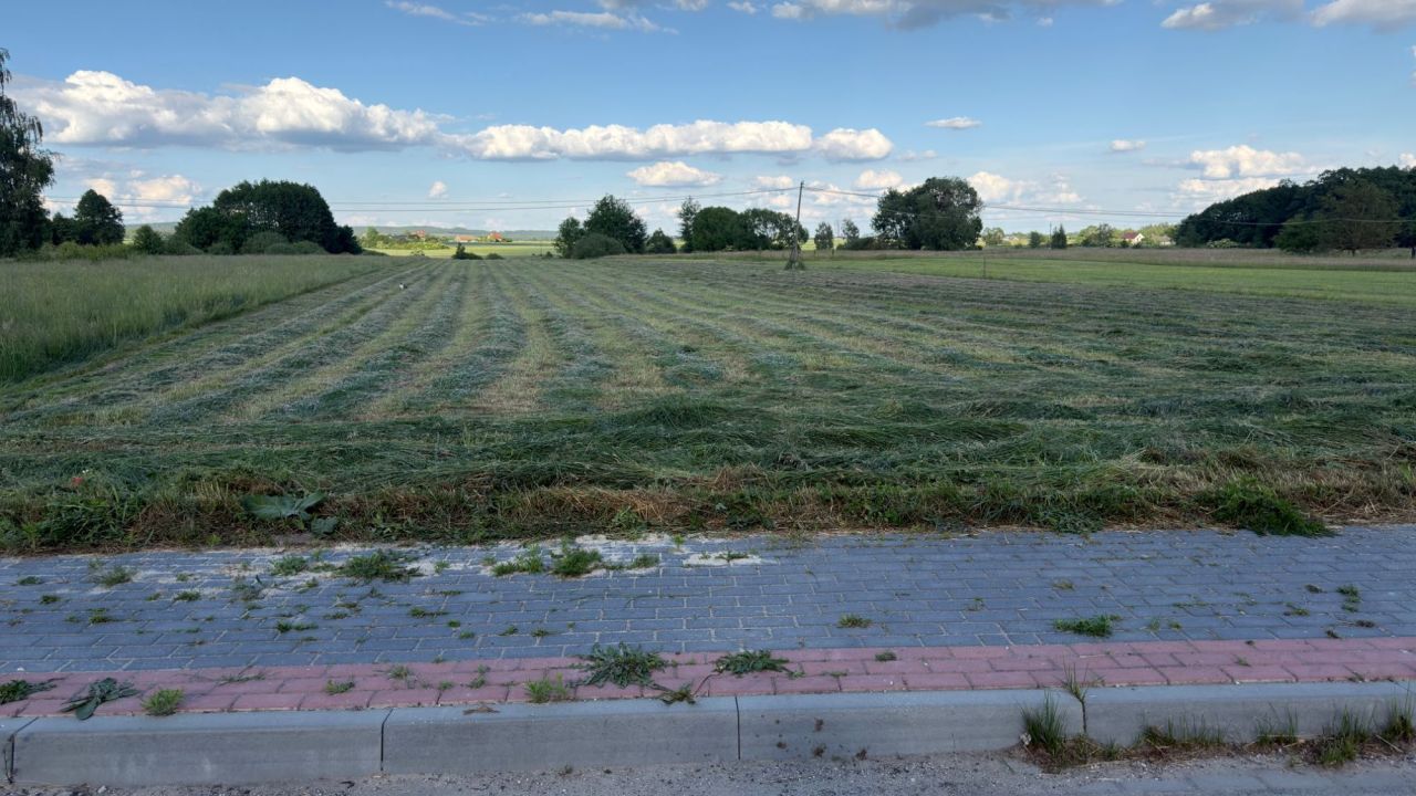 Działka rolno-budowlana Lasochów. Zdjęcie 1