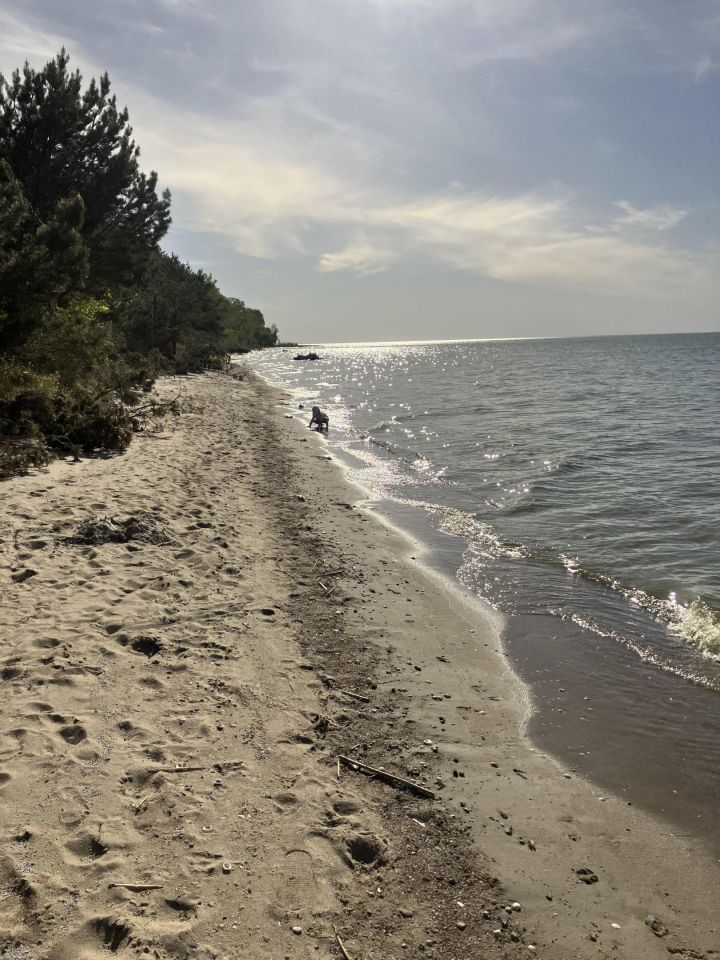 Działka rolno-budowlana Tolkmicko, ul. Morska. Zdjęcie 6