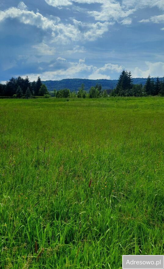 Działka rolno-budowlana Długopole Górne. Zdjęcie 4