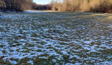 Działka budowlana Stara Wieś